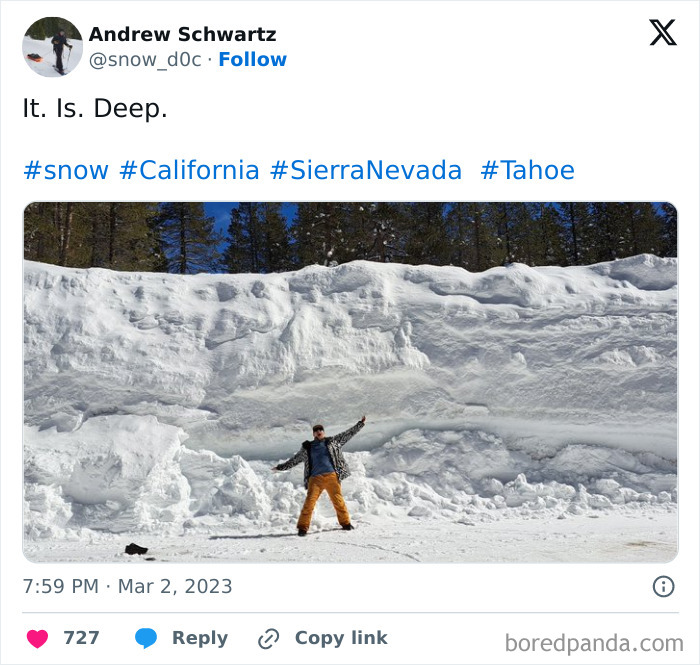 I'm 6 Feet Tall For Reference