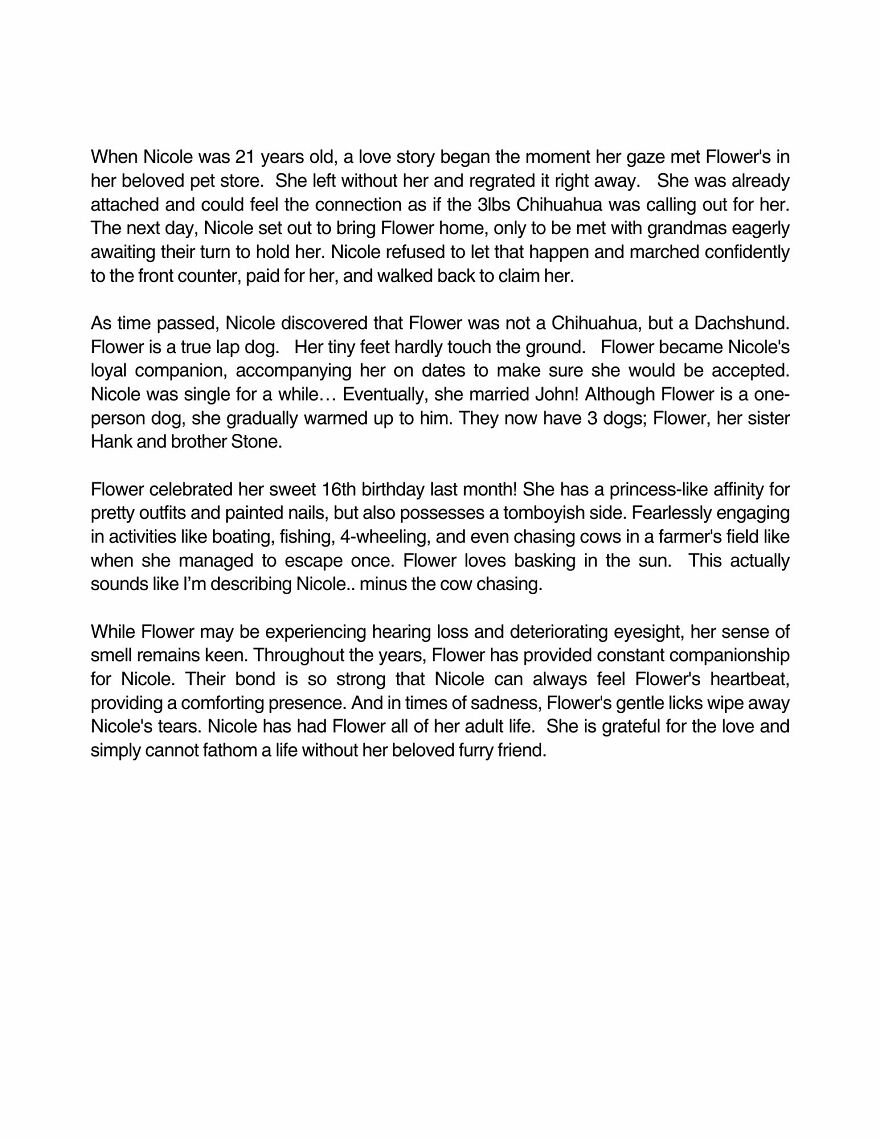 Celebrating Dogs & Their Humans