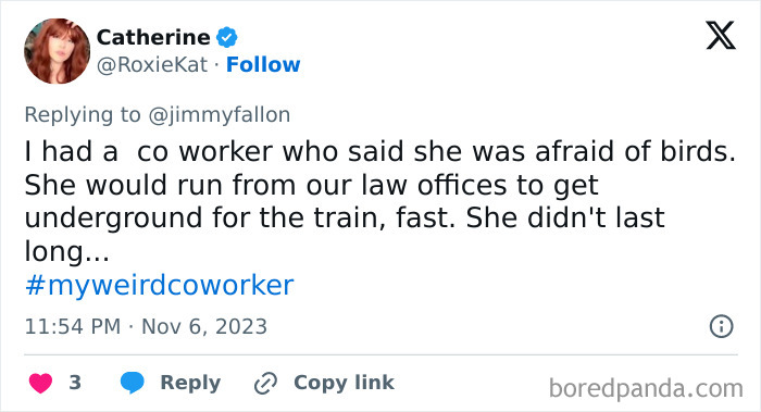 My-Weird-Coworker-Jimmy-Fallon