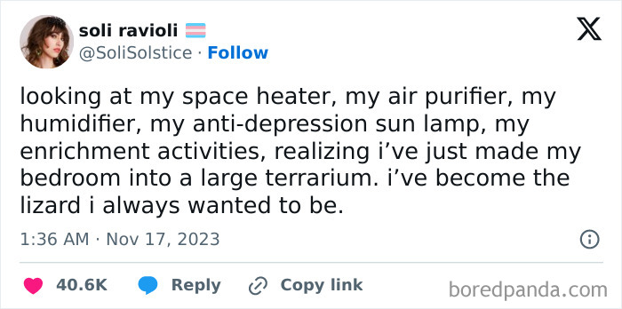 Tweet about turning a bedroom into a terrarium with a space heater, air purifier, and sun lamp, funny memes for social times.
