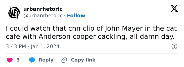 &ldquo;The Funniest TV Moment Of 2023&rdquo;: Anderson Cooper Can&rsquo;t Stop Laughing At John Mayer In Cat Cafe