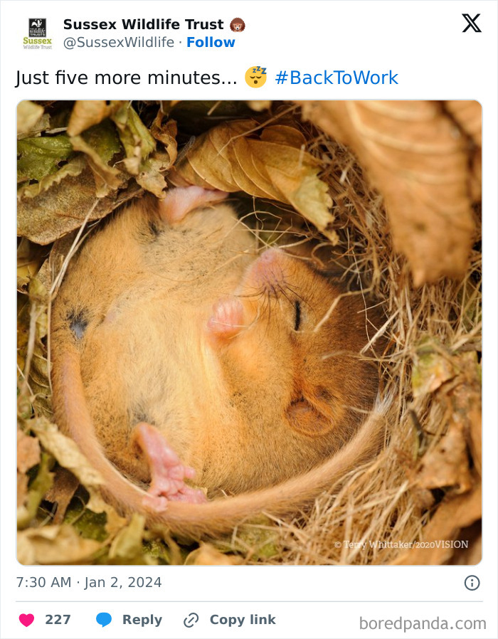 National-Circle-Back-Day-Jokes