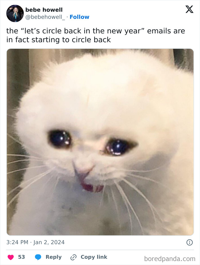 National-Circle-Back-Day-Jokes