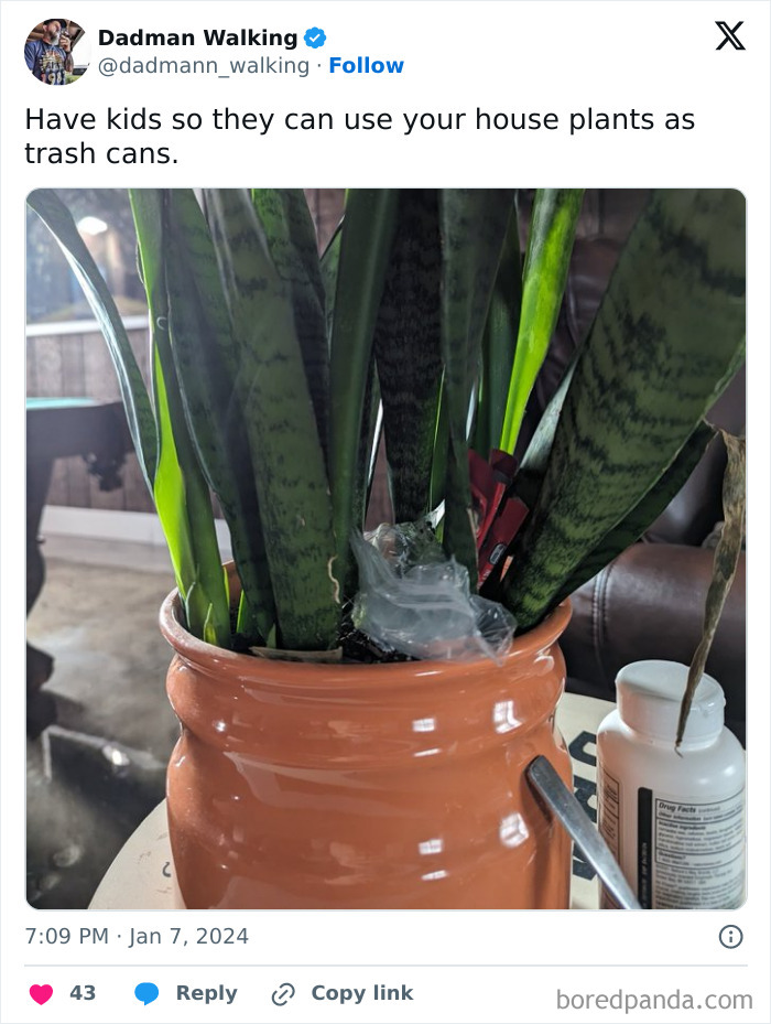 Parenting-Tweets-Dadmanwalking