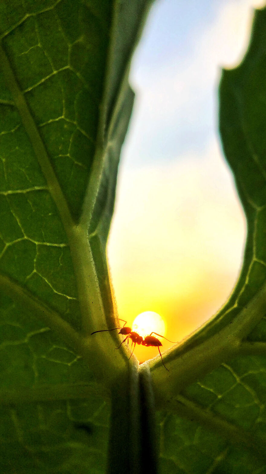 Hardworking Life By Lock Liu