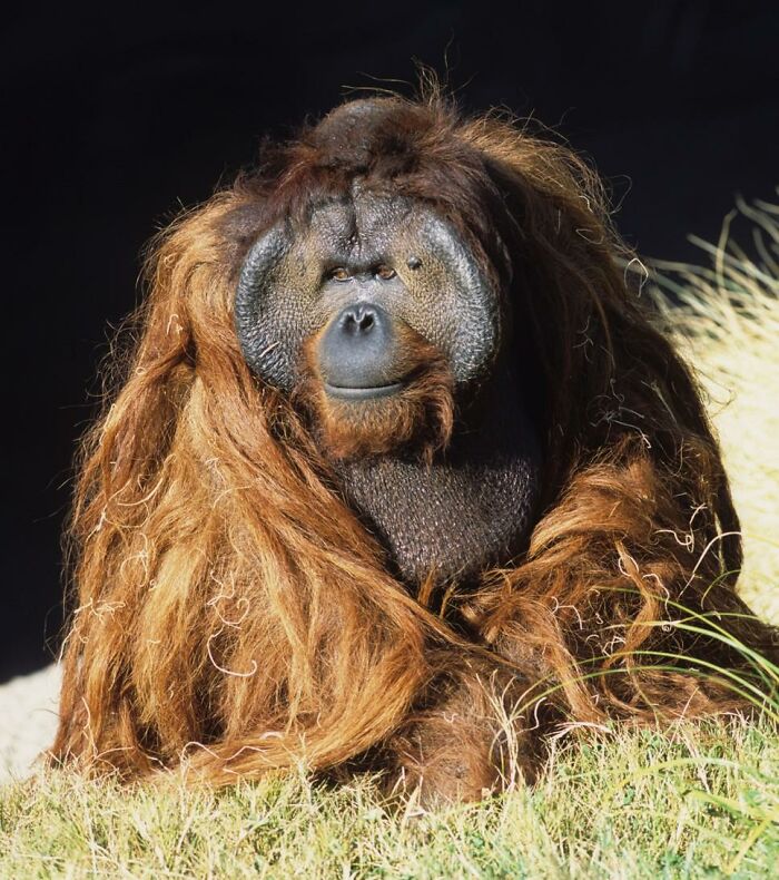 50 Best Of All Time “Today I Learned” Facts To Keep The Brain Active And Healthy