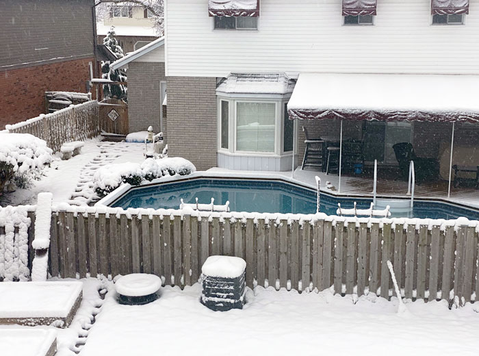 Good Thing My Neighbor Opened Their Pool Last Week