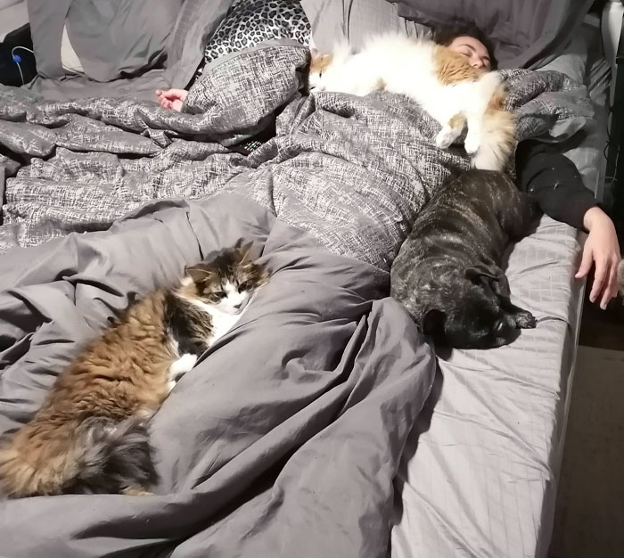 How My Girlfriend Sleeps