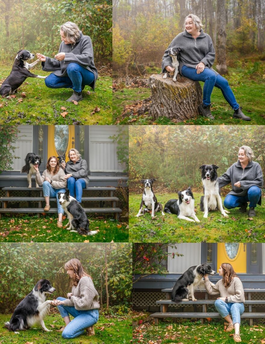 Celebrating Dogs & Their Humans