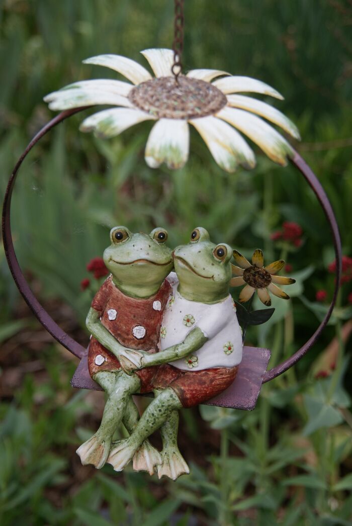 “Girl, Same”: Female Frogs Will Do Anything – Even Fake Death – To Avoid Males, Study Shows