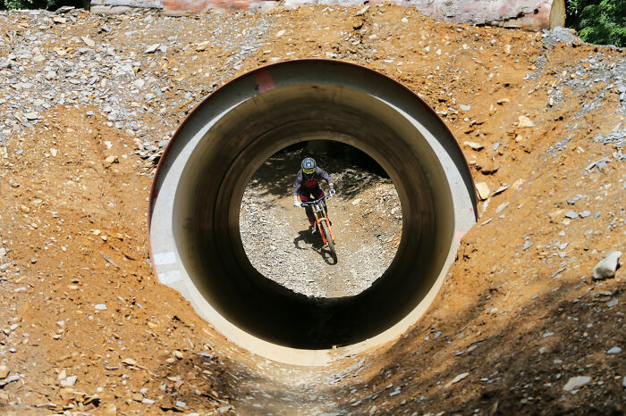 After Being Made Redundant, I Made My Hobby A Full-Time Job