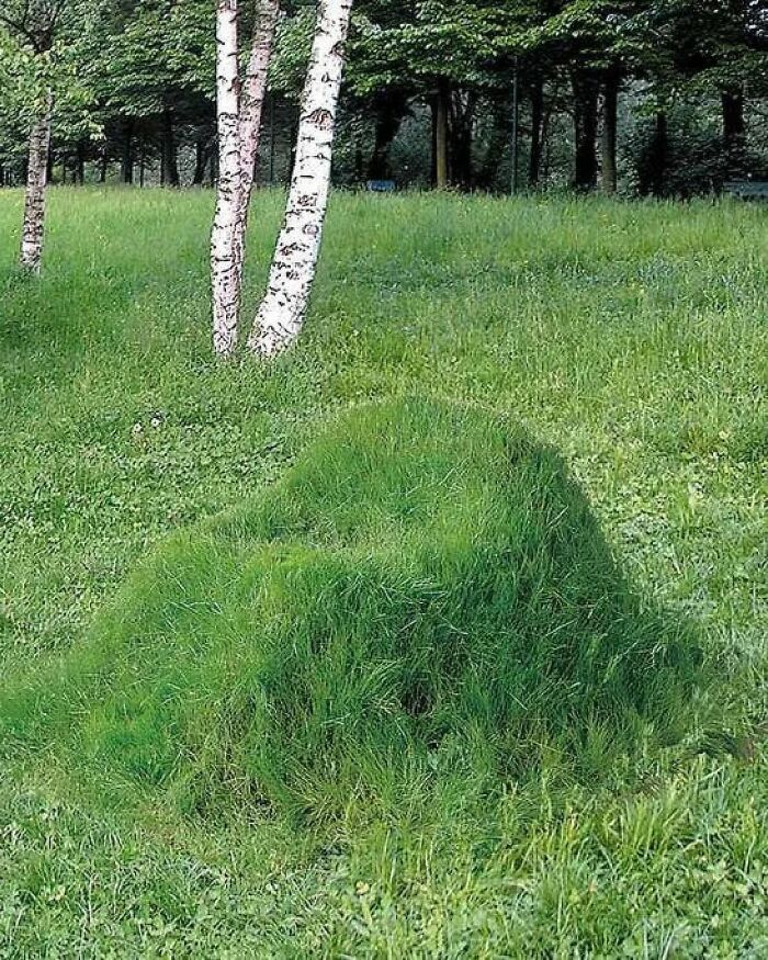 Armand Pierre Fernandez, Parco Sempione, Milan, 1973 Via @steffan @somethingcurated