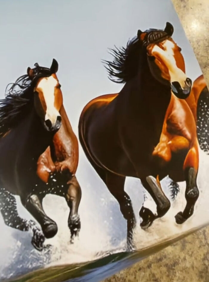 Esta mujer se compró un calendario con fotos de caballos, pero resultó ser demasiado extraño