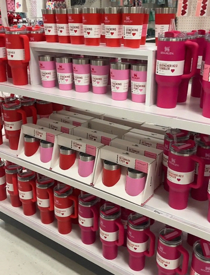 &ldquo;Is A Cup Worth Your Job?&ldquo;: Target Employees Across The US Get Sacked Over Stanley Cups