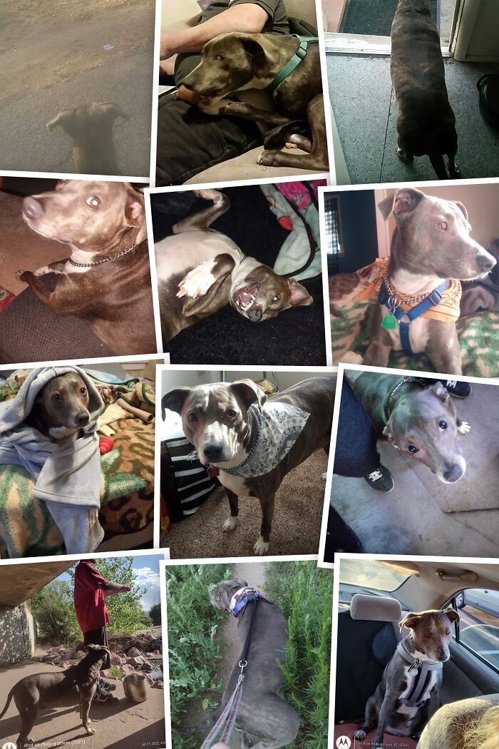 Grae'son Over The Years, 2016 - 2023