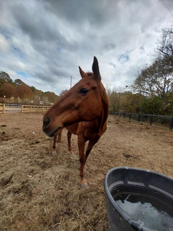 This Fits Them Perfectly