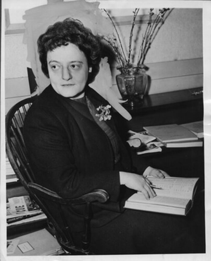 «Hoy aprendí»: 21 Datos nuevos y fascinantes para saciar tu sed de conocimiento