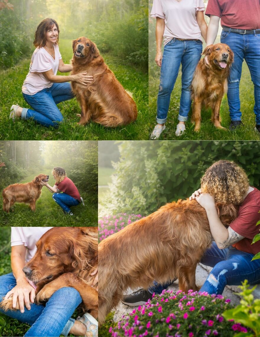 Celebrating Dogs & Their Humans