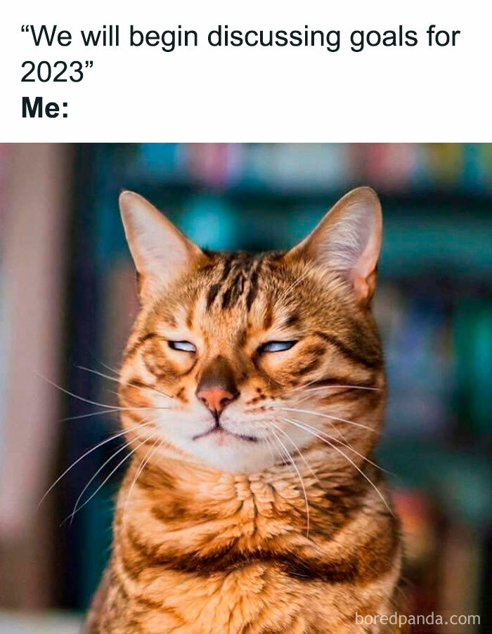 Cat with a funny expression, meme about work goals, showcasing humor in a work setting.