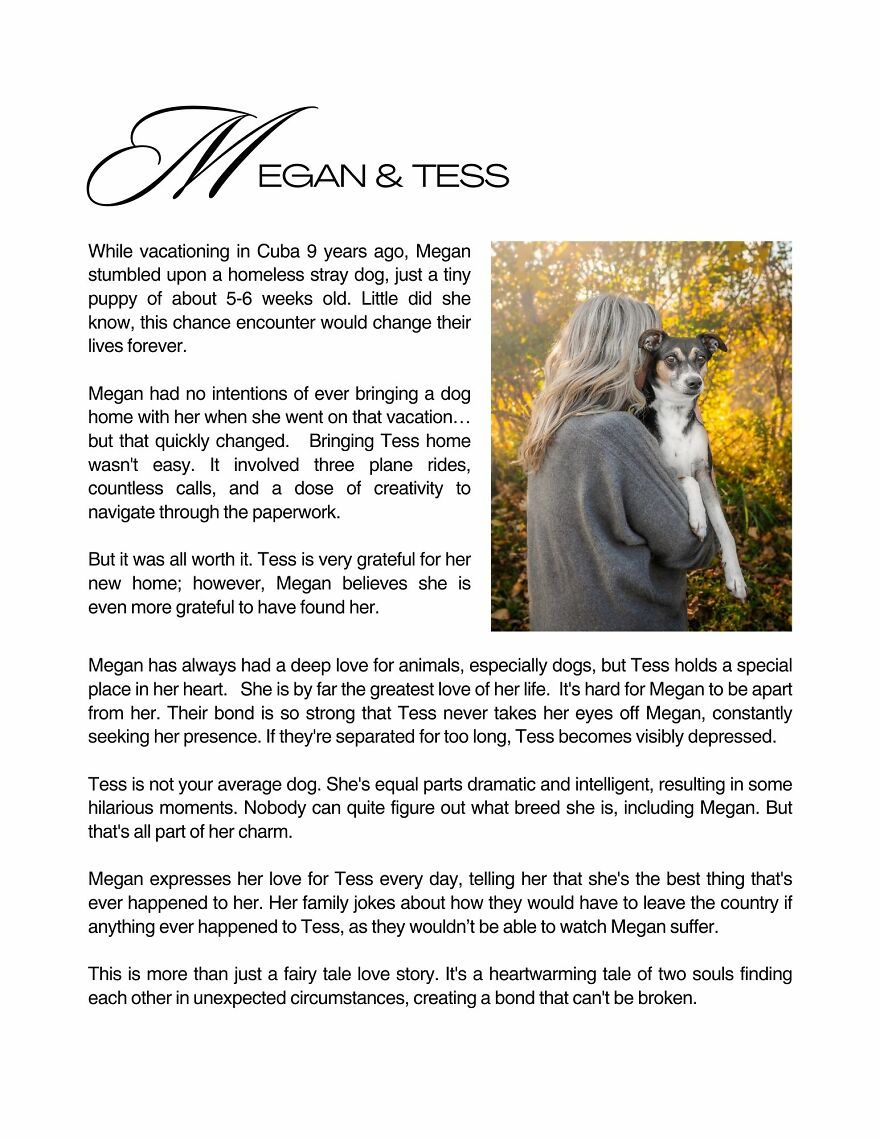 Celebrating Dogs & Their Humans