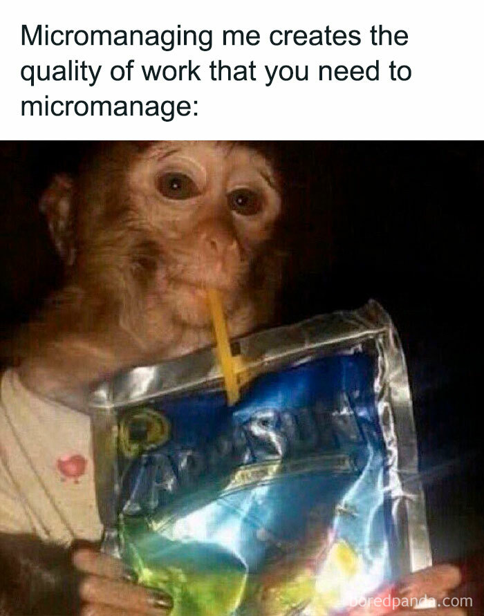 Monkey humorously sipping a juice pouch, embodying a funny work meme about micromanagement at the office.