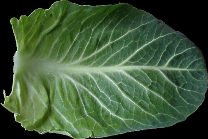 30 Pretty Simple Yet Game-Changing Kitchen Secrets, As Shared By Home Chefs In This Online Group