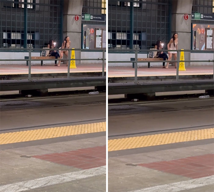 How Else Are You Supposed To Pass The Time While Waiting For The Train?