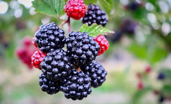 "Museum Day": 30 Frugal "Treats" That Prove Good Parenting Is Not About Money