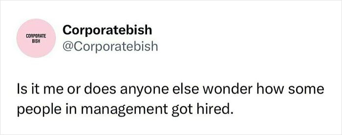 Funny work meme questioning management hiring decisions.