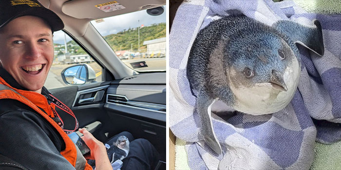 A Very Unusual Visitor At New Zealand Airport