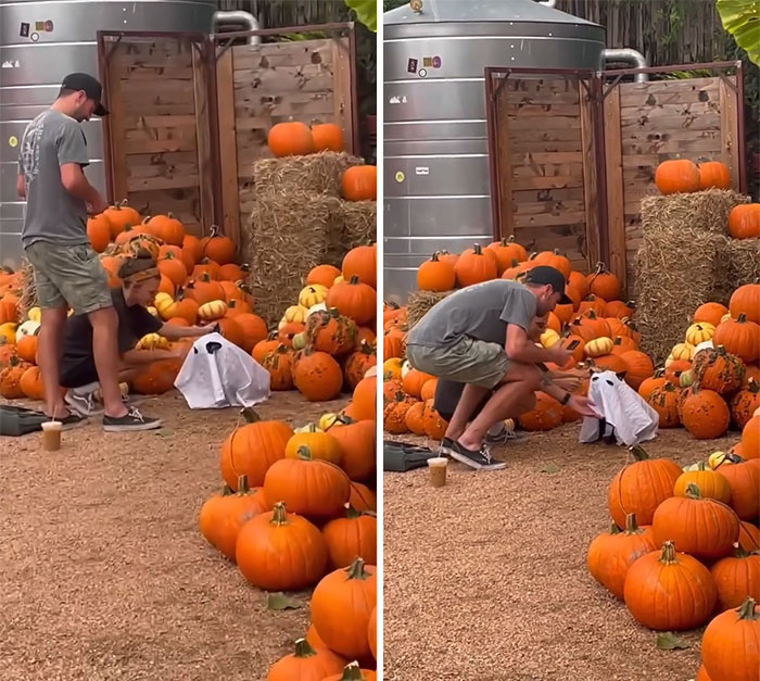 The Dog Wants No Part Of It 😂