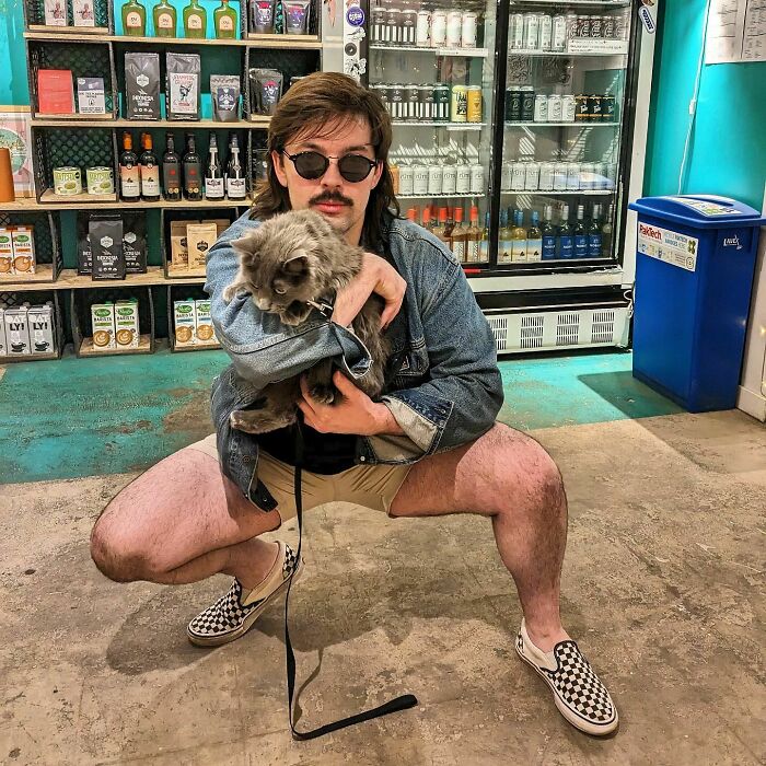 We Capture The Essence Of NYC Through Cute And Funny Photos Of Bodega Cats