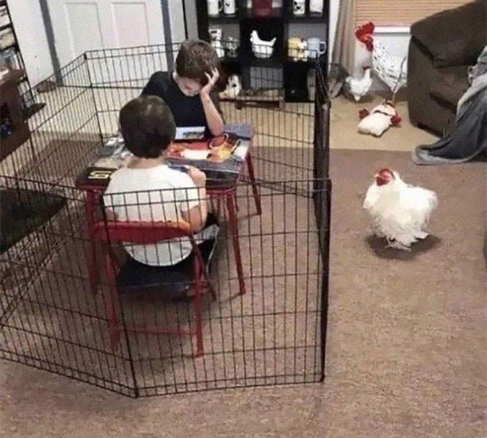 No-Context-Cursed-Images