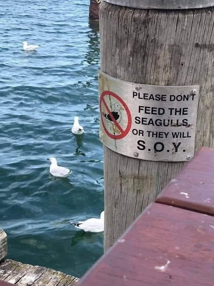 Please-May-I-Have-A-Crumb-Of-Context