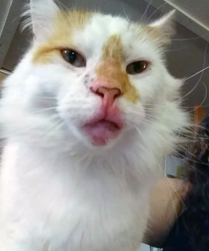 That Face When You're Allergic To Shrimp, But Still Love It Enough To Dig It Out Of The Trash