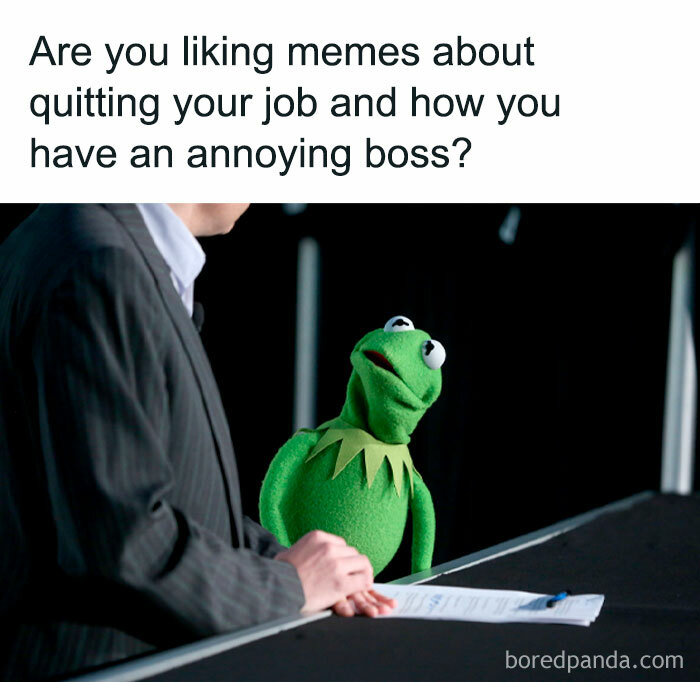 Kermit the Frog humorously listening to a suited person, with text liking job-quitting memes.