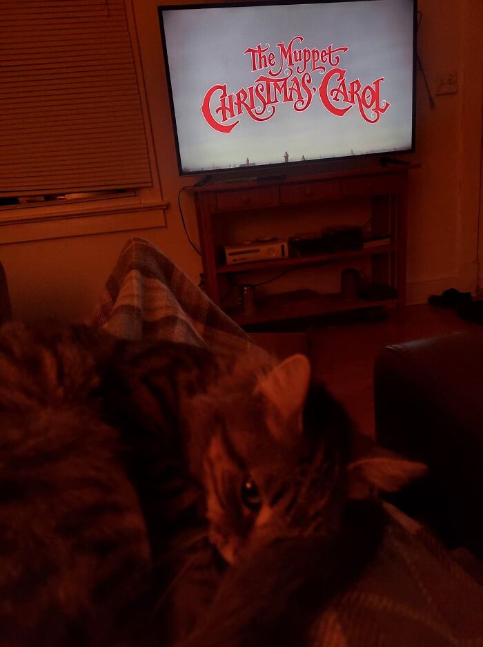 Christmas Just Isn't Christmas Without