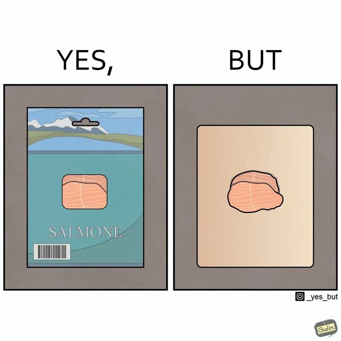 29 “Yes But” Comics That Show The Same Situation From Two Opposite Sides (New Pics)