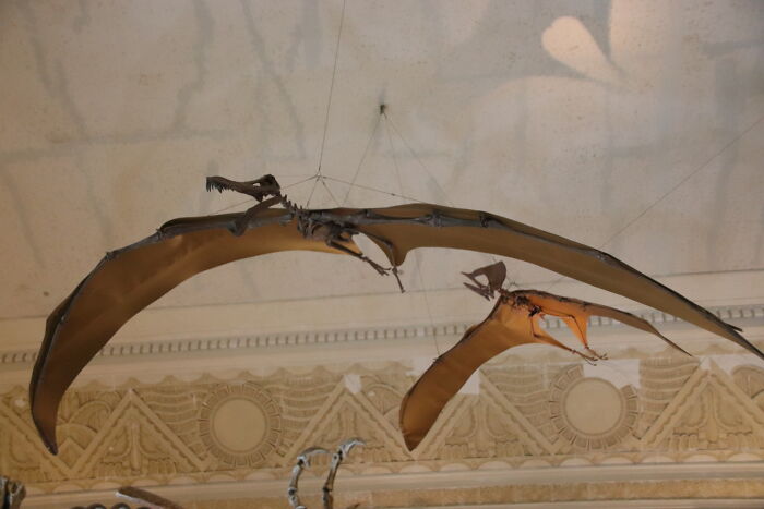 35 Random Facts That Nobody Really Asked For, But They Are Interesting To Know