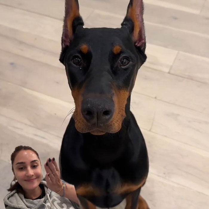 &ldquo;I Birthed Her&rdquo;: People Fume After Woman Turns Down $200k Offer From Stranger To Buy Her Dog