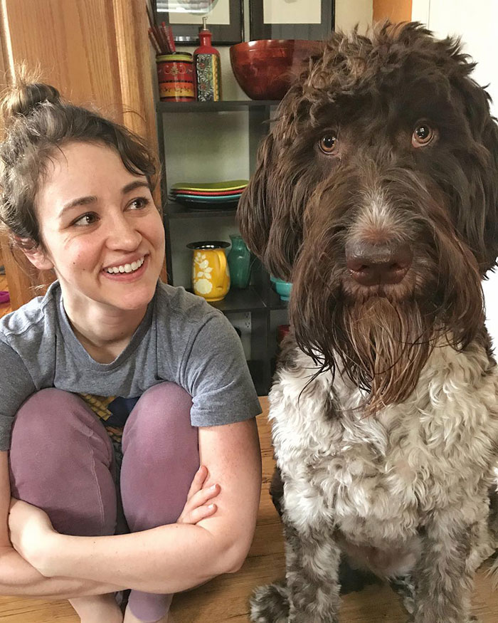 "I Almost Had A Heart Attack&rdquo;: Goldendoodle Snatches Owners&rsquo; Envelope And Eats $4,000 In Cash