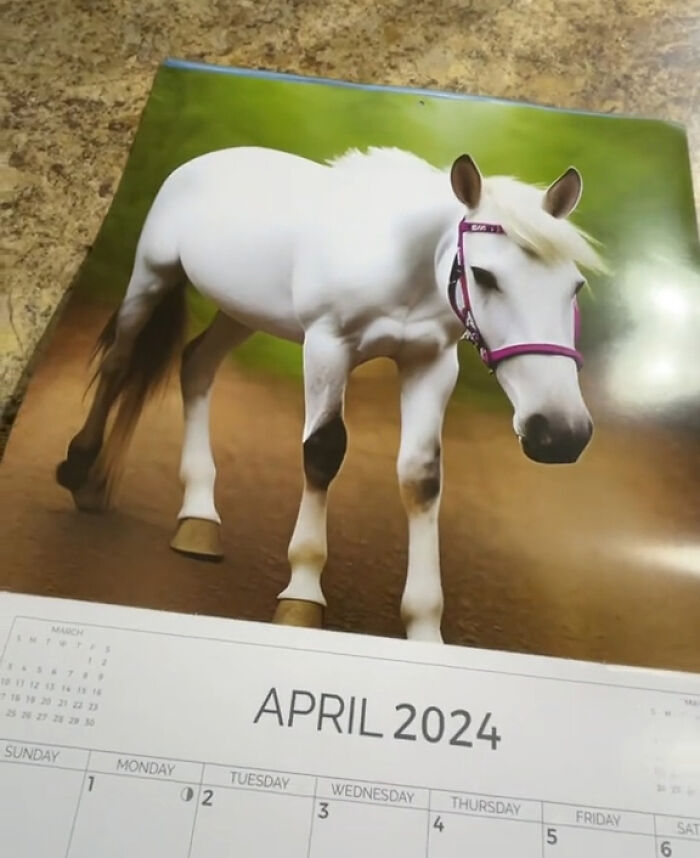Esta mujer se compró un calendario con fotos de caballos, pero resultó ser demasiado extraño