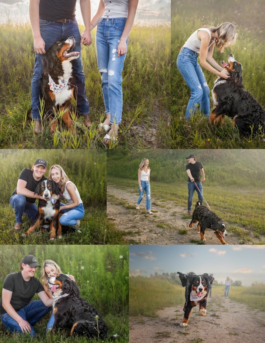 Celebrating Dogs & Their Humans