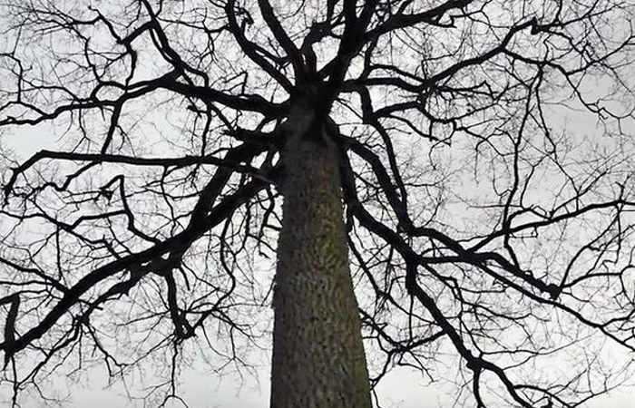 50 Best Of All Time “Today I Learned” Facts To Keep The Brain Active And Healthy