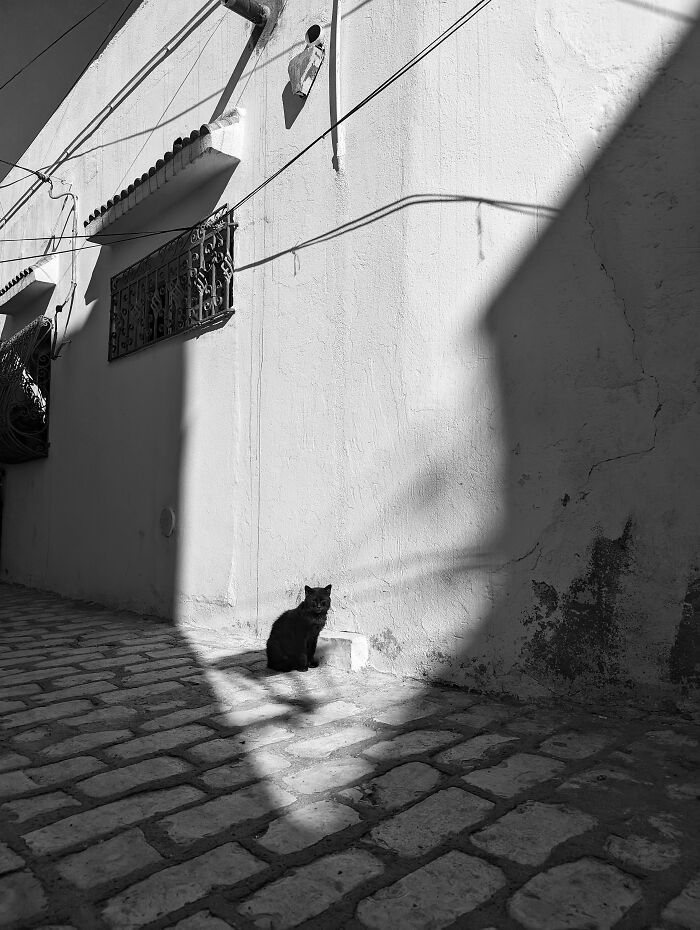 Exploring The Vibrant Streets Of Tunisia