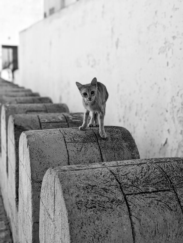 Exploring The Vibrant Streets Of Tunisia