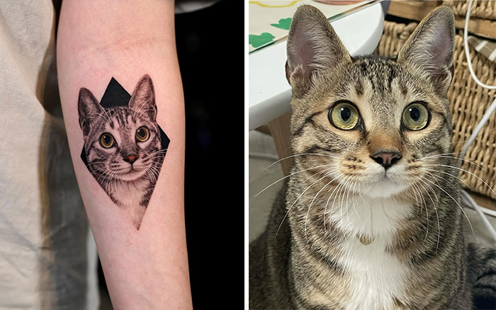 Realistic pet tattoo by Yeono on an arm, featuring a cat's face, next to the photo of the actual cat.