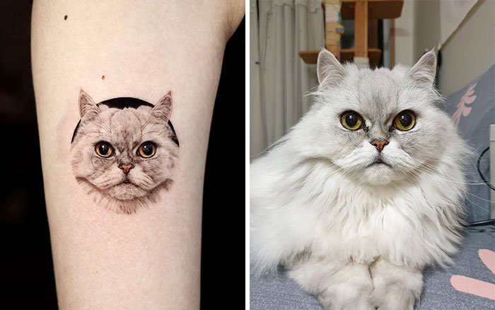 Realistic pet tattoo of a fluffy cat on skin next to a photo of the actual cat.