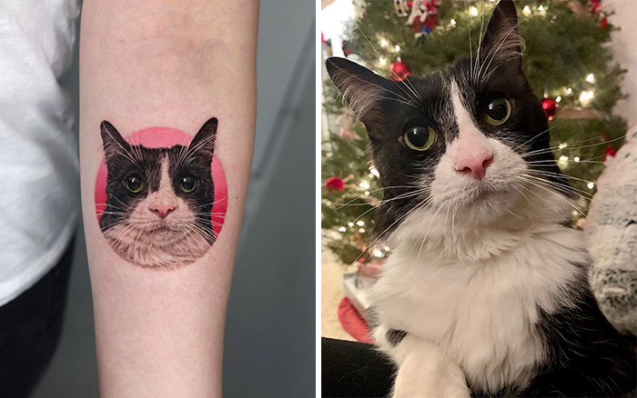 Realistic pet tattoo of a black and white cat with a pink background on an arm, next to the actual cat.