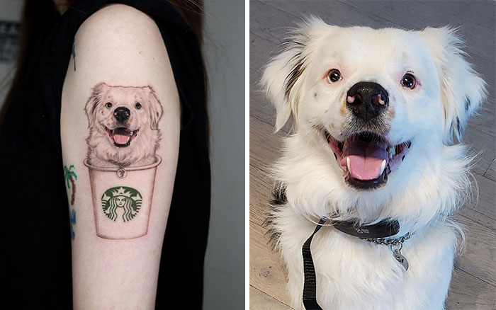 Realistic pet tattoo by Yeono of a smiling dog in a Starbucks cup, alongside the actual dog.